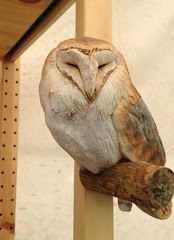 barn owl2