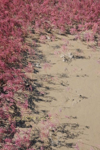 [SYG_4330%255B3%255D.jpg]