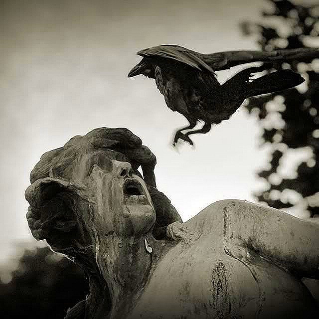 [Birds_22%255B6%255D.jpg]