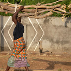 SANY0345.JPG