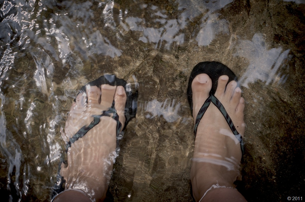 [DSC_0878%255B5%255D.jpg]