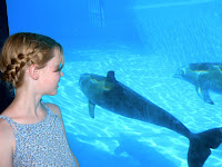 Delfin + Ida