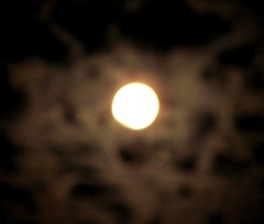 Blue moon full moon 2. 8.31.12 Blue moon full moon 2. 8.31.12