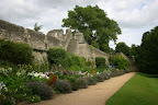 Oxford city wall in New College