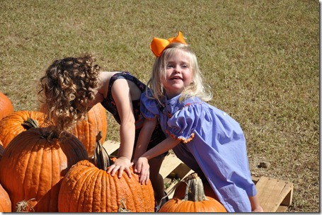 southern belle farm 100611 (77)