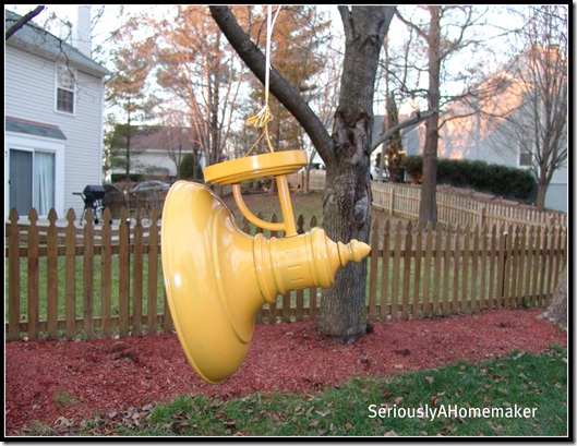 yellow lamp hanging from tree
