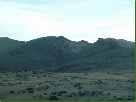 P1020576