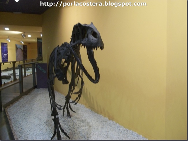 reconstruccion fosiles reconstruccion fosiles