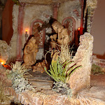1537-5.JPG
