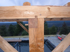The detail of the tying joint and cogged tie beam end can be seen here.