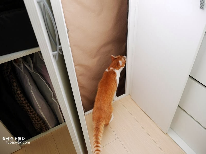 調整大小P1170935 調整大小P1170935