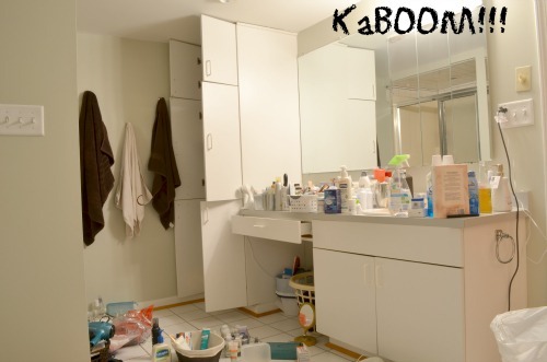 [HSR%2520Master%2520Bath%2520Org%2520During%255B5%255D.jpg]