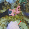 2013-10-23 13.47.47.jpg