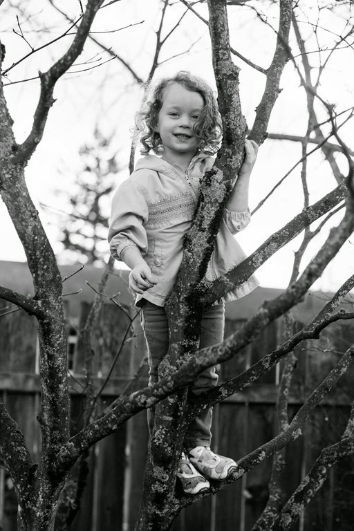 [IMG_7488%255B3%255D.jpg]