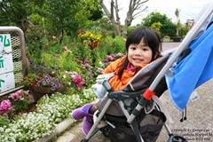 IMG_3519 IMG_3519