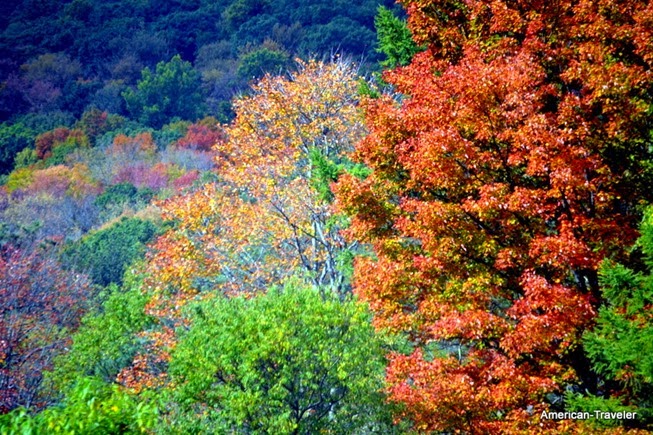 DSC_0204 DSC_0204