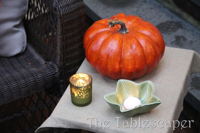 [Fall-0773.jpg]