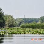 DSCN8262.JPG