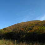 IMG_2444.jpg