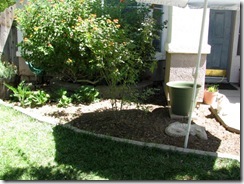 IMG_0004 IMG_0004