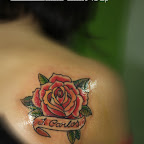 2276629_orig.jpg
