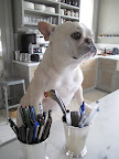 In fact, every time Martha goes to a new book signing for all of those books that keep passing through this kitchen, she always signs with a LePen.
