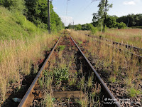 Tory kolejowe relacji Poznań -Wrocław