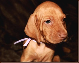 IMG_9125 IMG_9125