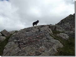 DSCF5408 DSCF5408