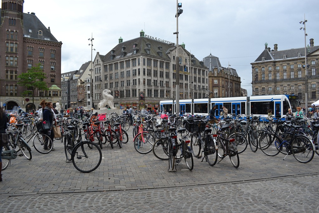 [DSC_05757.jpg]