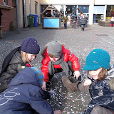 DSCF0335 (Medium).JPG