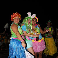  Carnaval_Cantanhede_Bloco_Cana_Limao_2012