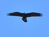 DSC_7876.jpg