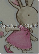 every bunny close up charlie camp every bunny close up charlie camp
