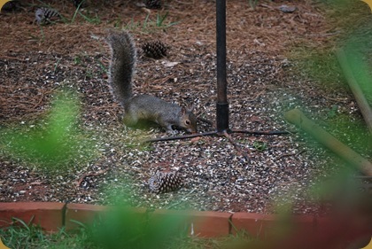 DSC_4892 DSC_4892