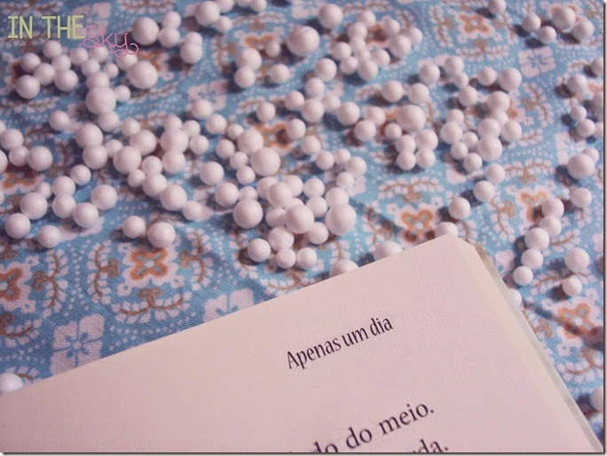 apenas um dia_01 apenas um dia_01
