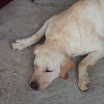 hiking_34.jpg