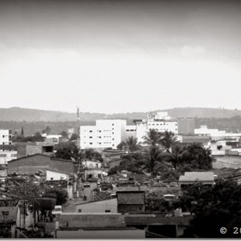 onze vezes arapiraca