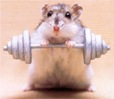 Exercise 4 Exercise 4
