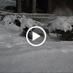 MVI_5454.AVI