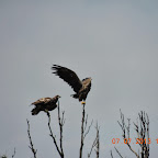 DSCN9662.JPG