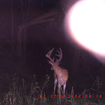 ICAM0010.JPG