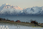 Landa peent, Møysalen i bakgrunnen -igrunnen vakkert, sant . .