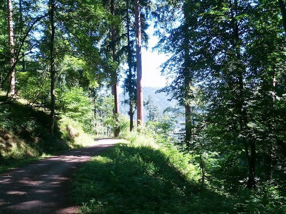 Der Weg schlängelt sich gemächlich den Berg hinauf IMG_20130801_103435.jpg