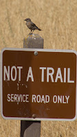 DSC02739.jpg