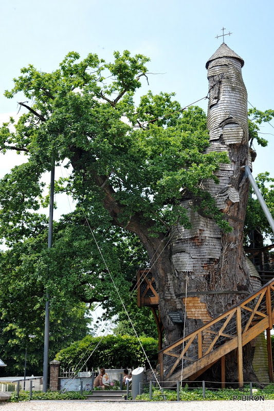 Beautiful-Oak-Chapel-1