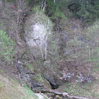IMG_1936.jpg