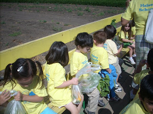 Look at all those vegetables!