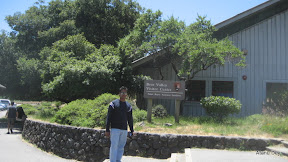 IMG_3705.jpg