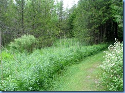 4614 Bass Lake Provincial Park - Waterview Trail hike 4614 Bass Lake Provincial Park - Waterview Trail hike